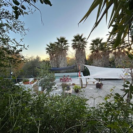 Loft Independiente "La Casita Del Olivo Centenario" Córdoba Exterior foto