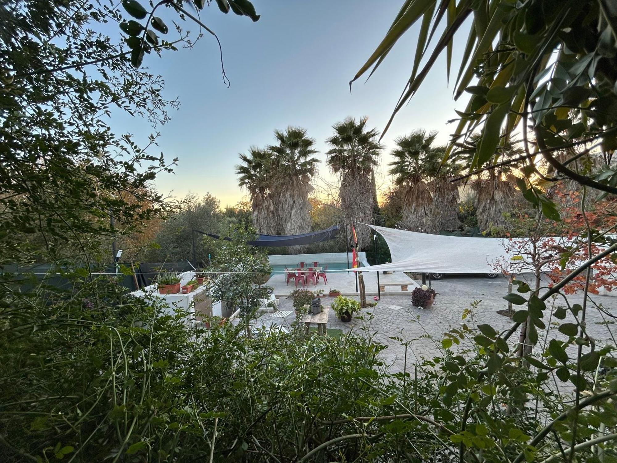 Loft Independiente "La Casita Del Olivo Centenario" Córdoba Exterior foto