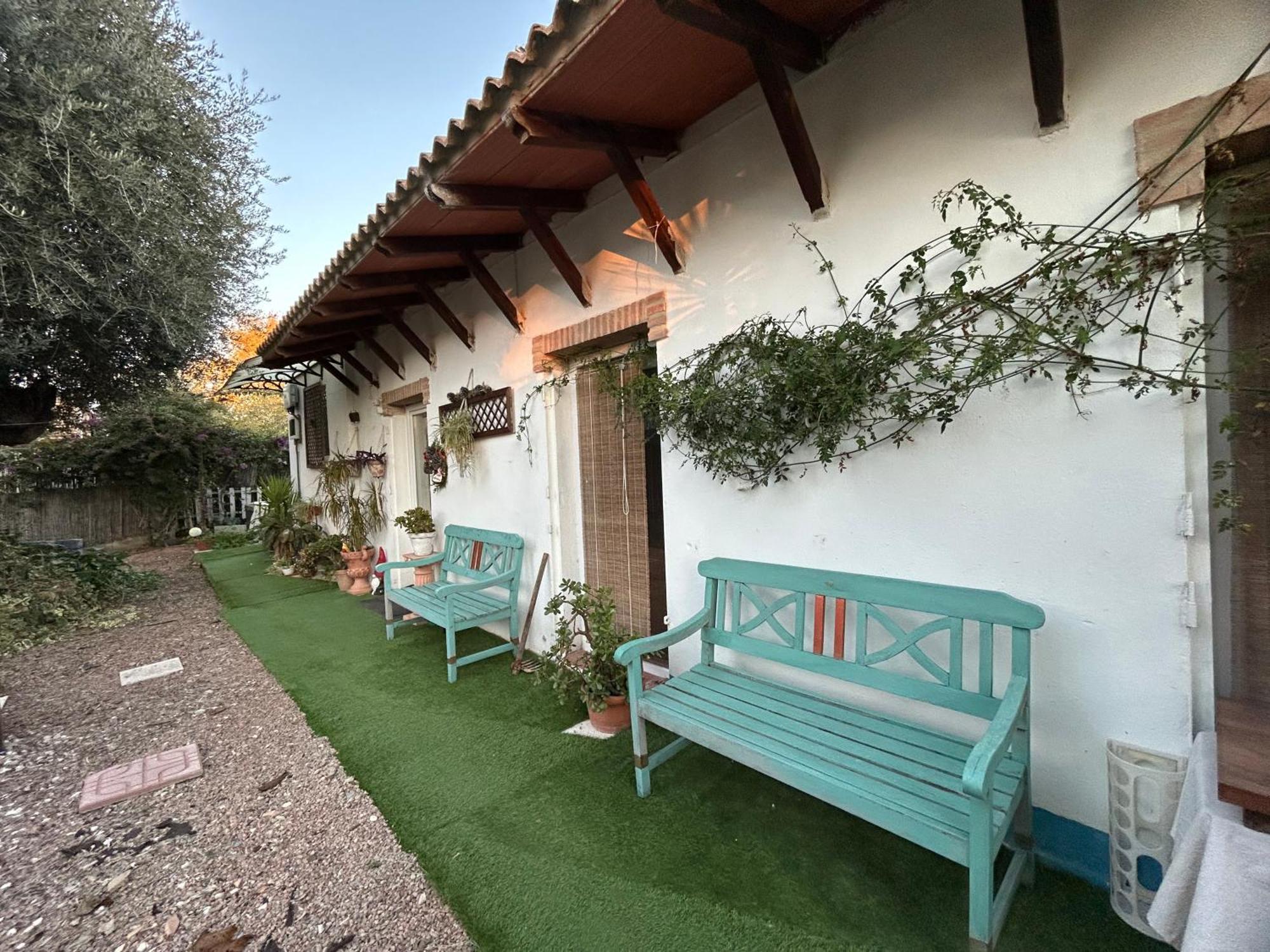 Loft Independiente "La Casita Del Olivo Centenario" Córdoba Exterior foto