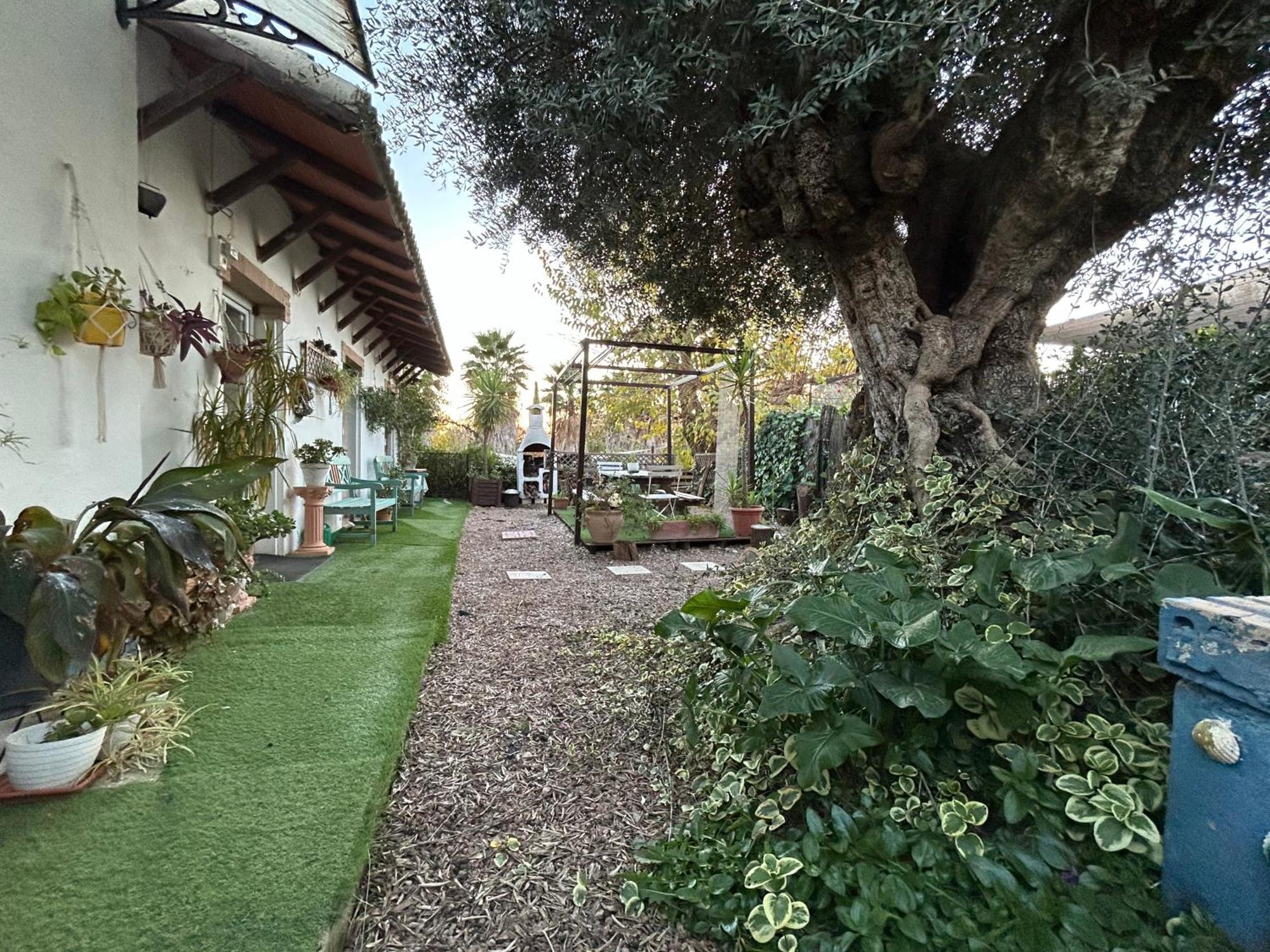 Loft Independiente "La Casita Del Olivo Centenario" Córdoba Exterior foto